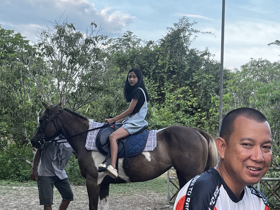 อื่นๆ - เช่า ม้าถ่ายงาน ม้างานบวช - 15