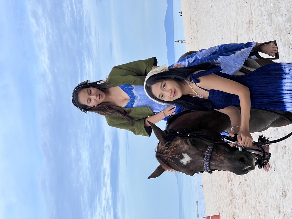 อื่นๆ - เช่า ม้าถ่ายงาน ม้างานบวช - 14