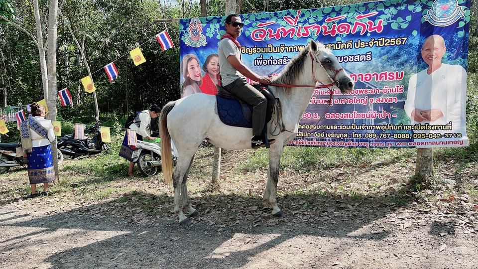 อื่นๆ - เช่า ม้าถ่ายงาน ม้างานบวช - 17