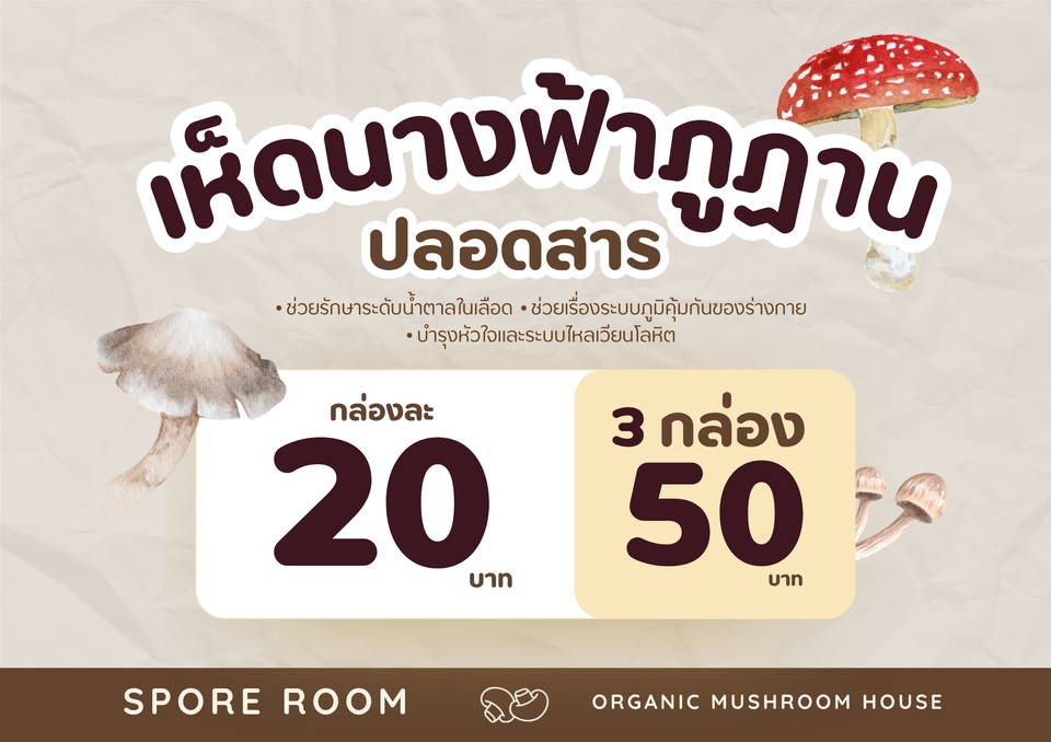 สื่อสิ่งพิมพ์และนามบัตร - รับออกแบบการ์ด โปสเตอร์ สื่อสิ่งพิมพ์ทุกรูปแบบ - 8