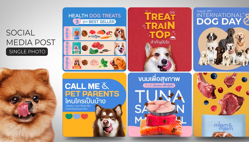 ออกแบบแบนเนอร์สินค้าสัตว์เลี้ยง โฆษณาเฟสบุ๊ค อินสตาแกรม