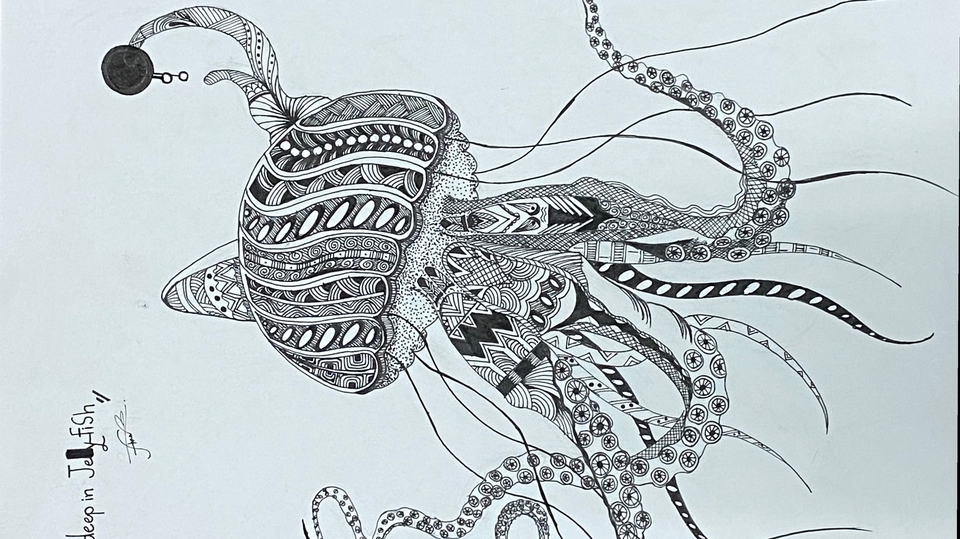 วาดภาพเหมือนเจลลี่ฟิชลายเส้นสวยงาม