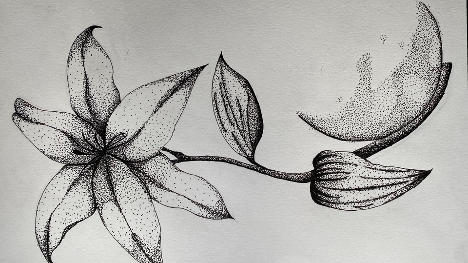 วาดภาพเหมือนดอกลิลลี่สไตล์จุดๆ