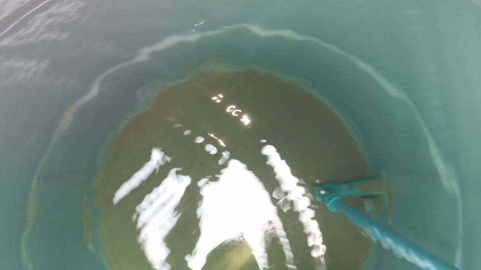 ล้างถังเก็บน้ำ - บริการล้างถังเก็บน้ำบนดิน พื้นที่ให้บริการ กรุงเทพฯ ชั้นนอก , นนทบุรี , ปทุมธานี - 8