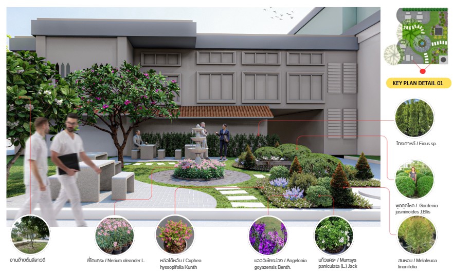 ออกแบบภูมิทัศน์และตกแต่งสวน - ออกแบบภูมิทัศน์ จัดสวน วางผัง/Landscape Design - 31