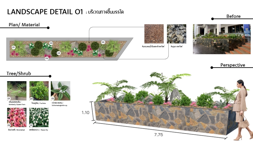 ออกแบบภูมิทัศน์และตกแต่งสวน - ออกแบบภูมิทัศน์ จัดสวน วางผัง/Landscape Design - 32