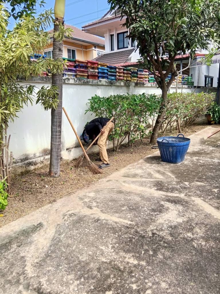 รับจ้างตัดต้นไม้ บริการตัดต้นไม้ ดูแลสวน ตัดแต่งกิ่งไม้ เก็บกวาดใบไม้ หาคนรับจ้างตัดหญ้า บริการตัดแต่งต้นไม้ใหญ่ พร้อมขนทิ้ง ราคาถูก ช่างตัดต้นไม้ ตัดต้นไม้ และทำความสะอาดพื้นที่