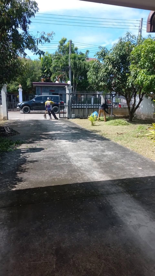 รับตัดหญ้า บริการตัดต้นไม้ พร้อมขนทิ้ง ตัดต้นไม้และดูแลสวน พนักงานกำลังตัดแต่งหญ้าและตัดต้นไม้ในสวนสวย เพื่อความสะอาดและสวยงามของบ้าน บริการตัดหญ้าราคาถูก หาคนรับจ้างตัดหญ้าใกล้ฉัน ตัดต้นไม้ใกล้บ้าน