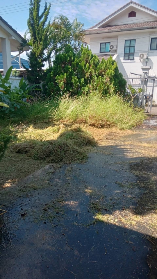 รับจ้างตัดหญ้า กำลังตัดหญ้าบริเวณบ้าน จัดการเรื่องหญ้าและตัดแต่งต้นไม้ บริการตัดหญ้า ราคาเป็นกันเอง พร้อมขนทิ้งให้เรียบร้อย ตัดหญ้า ตัดต้นไม้ ทำความสะอาดสวน หาคนรับจ้างตัดหญ้า บริการตัดแต่งต้นไม้