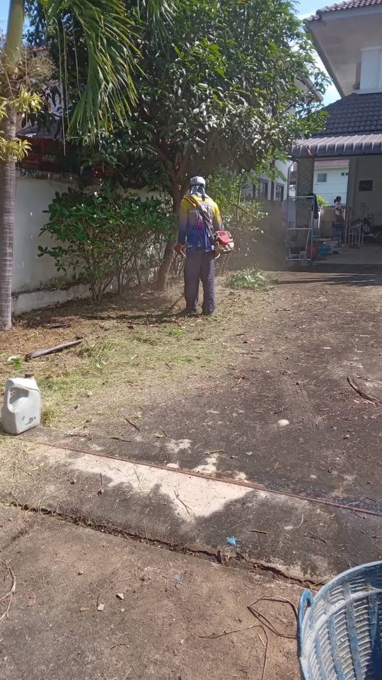 รับจ้างตัดหญ้า กำลังตัดหญ้าในสนามหน้าบ้าน ตัดแต่งต้นไม้ กำจัดวัชพืช พรวนดิน ดูแลสวน กำจัดต้นไม้รกรุงรัง ตัดหญ้าราคาถูก หาคนตัดหญ้า ตัดหญ้าในบ้าน บริการตัดหญ้า ตัดแต่งกิ่งไม้ให้สวยงาม พร้อมทำความสะอาดบริเวณบ้าน