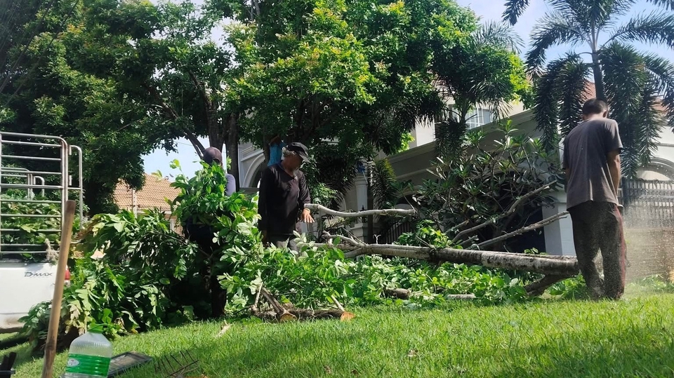 รับตัดแต่งต้นไม้ บริการตัดต้นไม้ ดูแลต้นไม้ ตัดแต่งกิ่งไม้ พร้อมขนทิ้ง ราคาถูก ช่างรับจ้างตัดหญ้า ตัดต้นไม้ใหญ่ บริการตัดแต่งต้นไม้ในสวนและพื้นที่ต่างๆ ด้วยทีมงานมืออาชีพ รับตัดหญ้า ตัดต้นไม้ และบริการอื่น ๆ เกี่ยวกับสวนอย่างครบวงจร