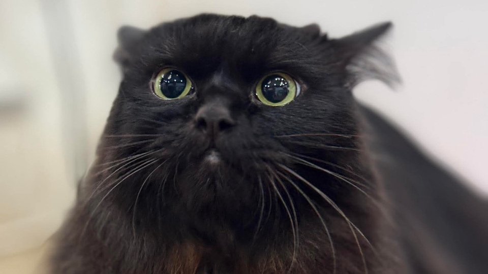 เราคุยเก่งนะ แต่เราก็ฟังคุณพูดอยู่เงียบๆ ได้