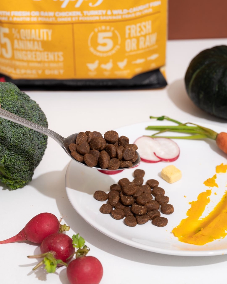 เน็ตไอดอลและบล็อกเกอร์รีวิว - รับรีวิวและถ่ายภาพสินค้าเกี่ยวกับสุนัข โดยมีน้องหมาเป็นแบบ - 7