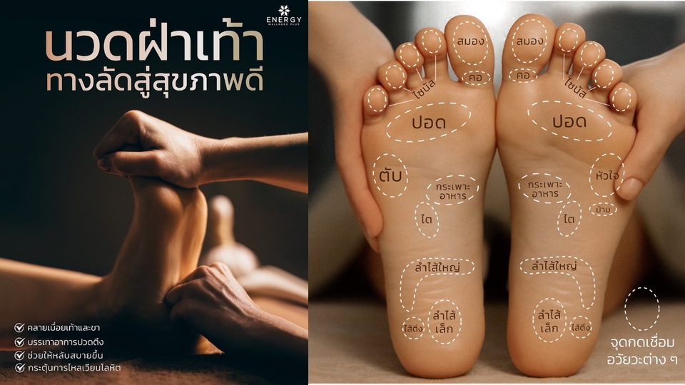 นวด - ENERGY HEALTH SPA PLUS นวดเท้า Foot Massage งามวงศ์วาน - 2