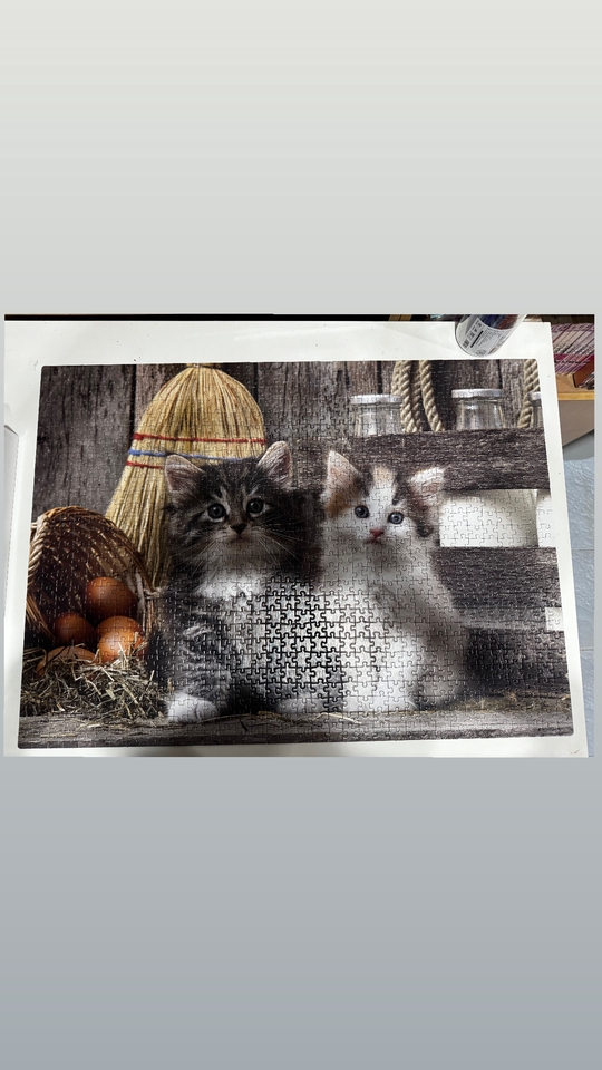 ต่อเลโก้ - 1000 pieces pattern  - 7
