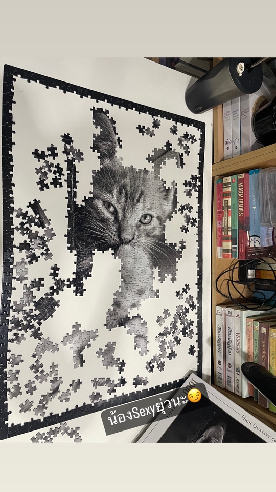 ต่อเลโก้ - 1000 pieces pattern  - 4