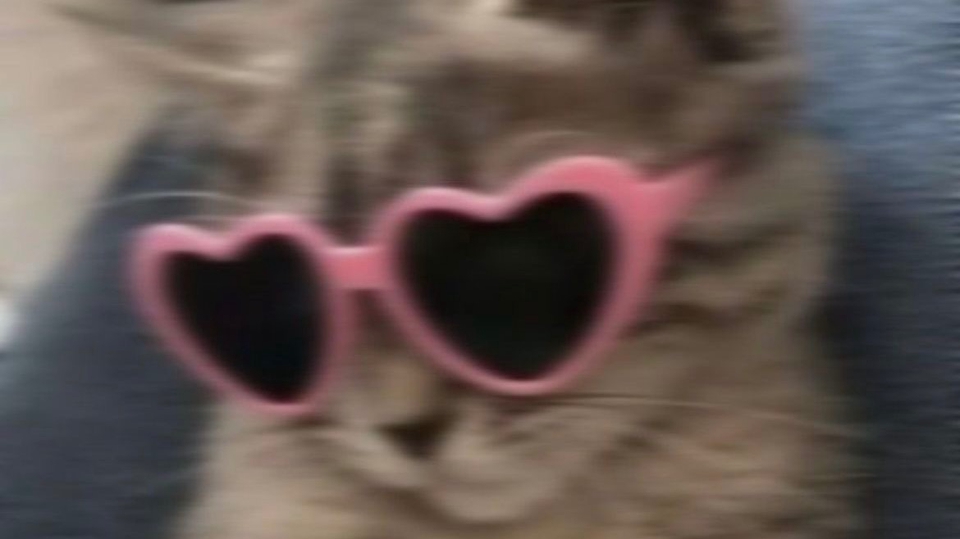 ยังไม่เคยมีแต่ จินตนาการล้ำเลิส