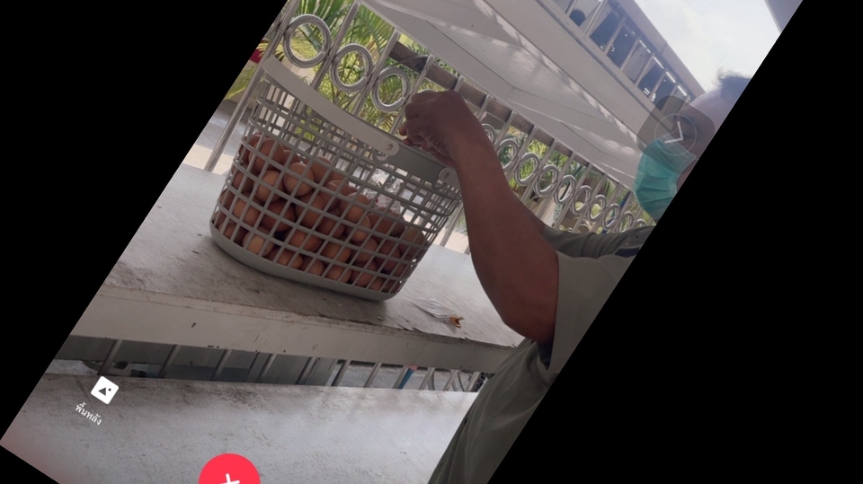 รับจ้างทำบุ แก้บน ปล่อยสัตว์ เป็นคนดวงดี มีมิตรรอบกายที่ดี ท่านจะได้ผลลัพธ์ ผลบุญเต็มๆแน่นอนค่ะ