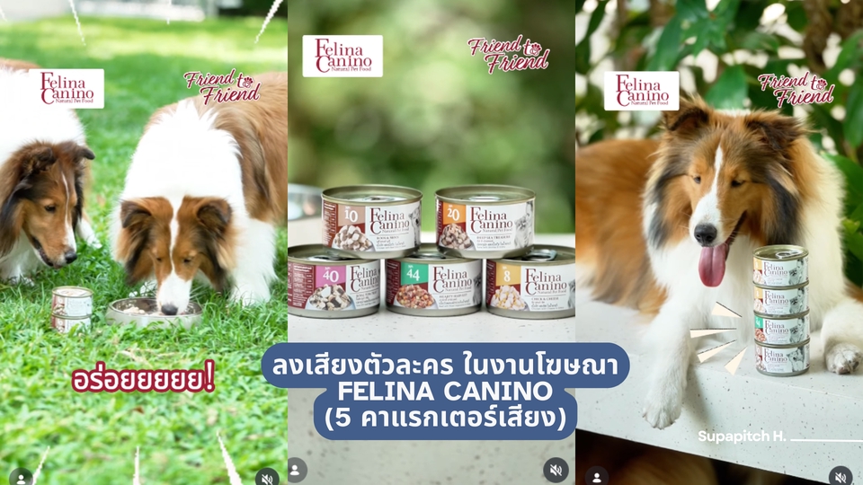 ลงเสียงตัวละคร หลายโทนเสียง