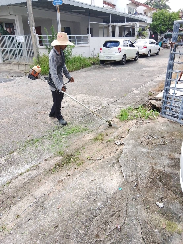 รับตัดหญ้าและตัดต้นไม้ - รับจ้างทำความสะอาดบ้านที่ถูกทิ้งร้าง - 8
