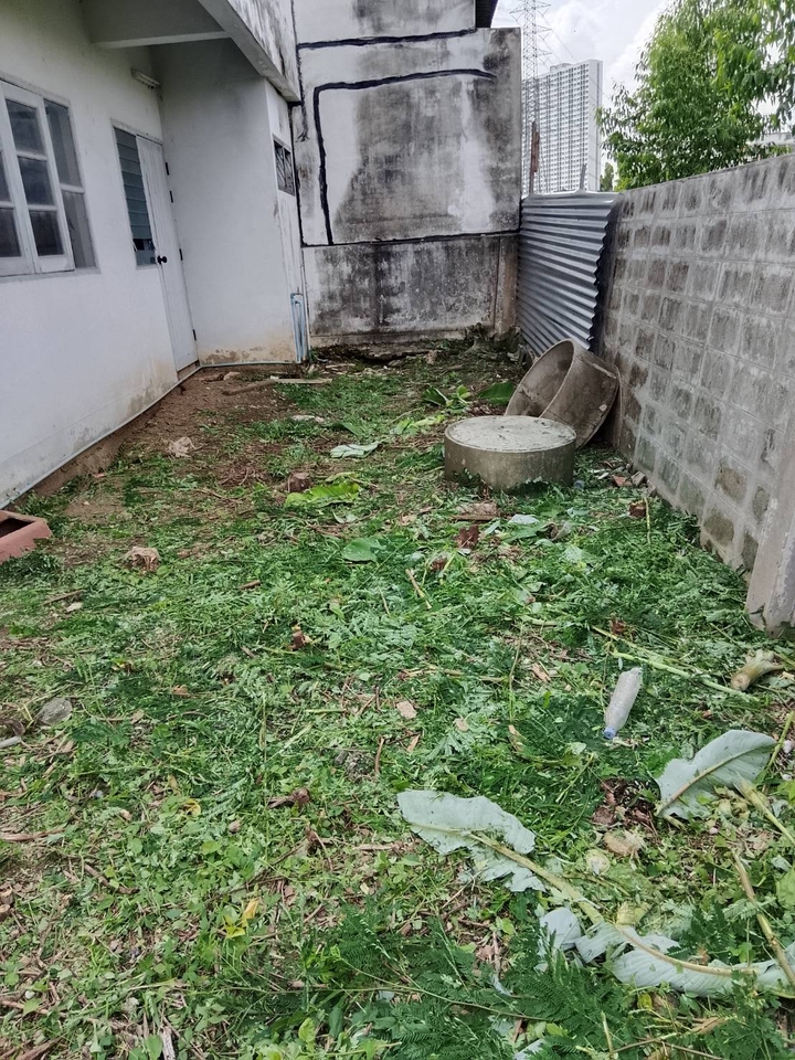 รับตัดหญ้าและตัดต้นไม้ - รับจ้างทำความสะอาดบ้านที่ถูกทิ้งร้าง - 13