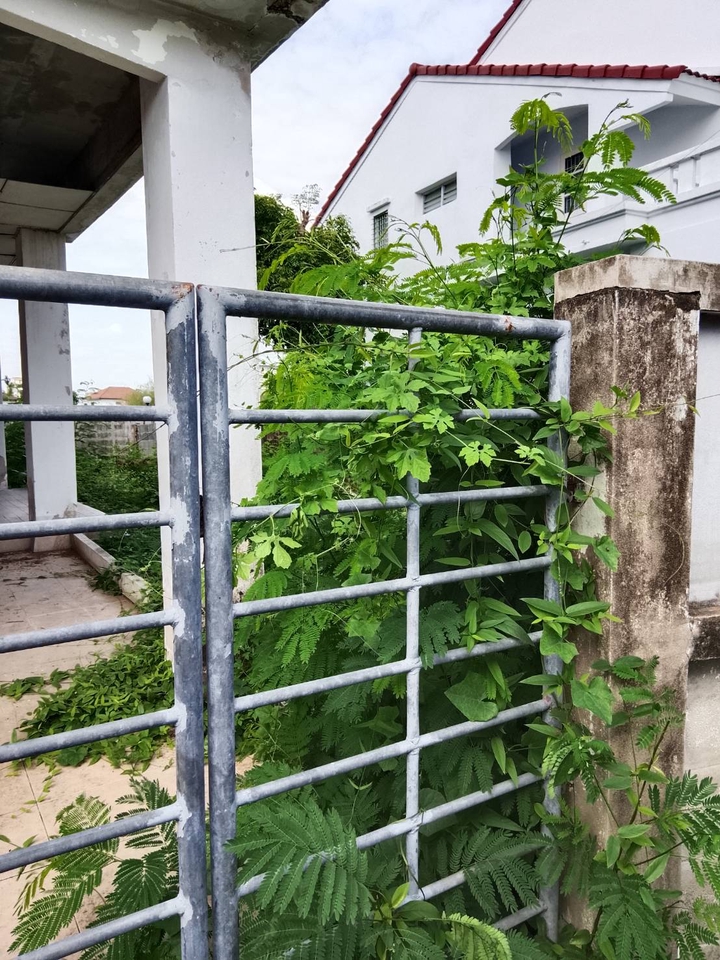 รับตัดหญ้าและตัดต้นไม้ - รับจ้างทำความสะอาดบ้านที่ถูกทิ้งร้าง - 2