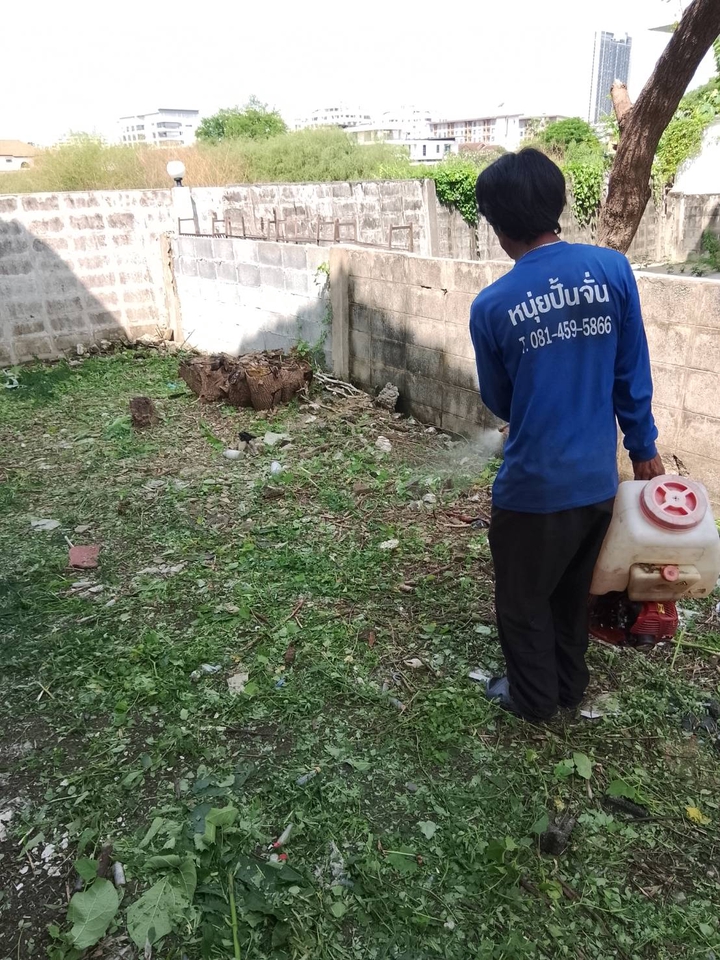 รับตัดหญ้าและตัดต้นไม้ - รับจ้างทำความสะอาดบ้านที่ถูกทิ้งร้าง - 16