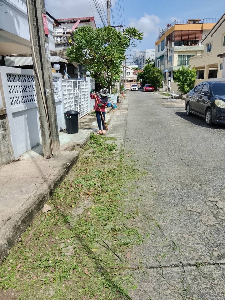 รับตัดหญ้าและตัดต้นไม้ - รับจ้างทำความสะอาดบ้านที่ถูกทิ้งร้าง - 11