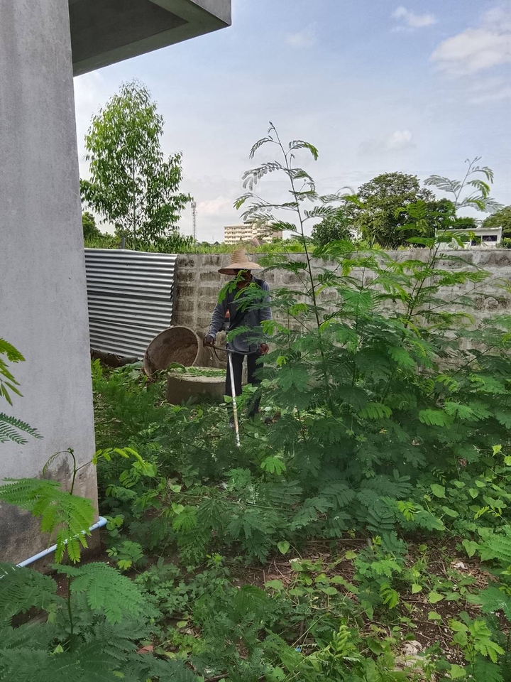 รับตัดหญ้าและตัดต้นไม้ - รับจ้างทำความสะอาดบ้านที่ถูกทิ้งร้าง - 7