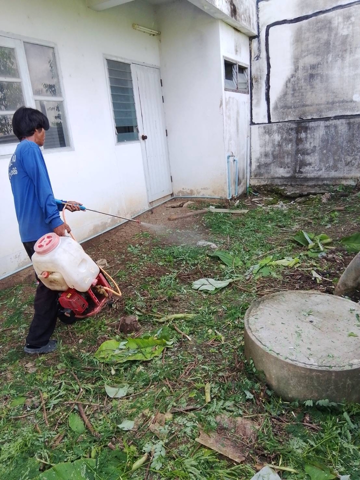 รับตัดหญ้าและตัดต้นไม้ - รับจ้างทำความสะอาดบ้านที่ถูกทิ้งร้าง - 14