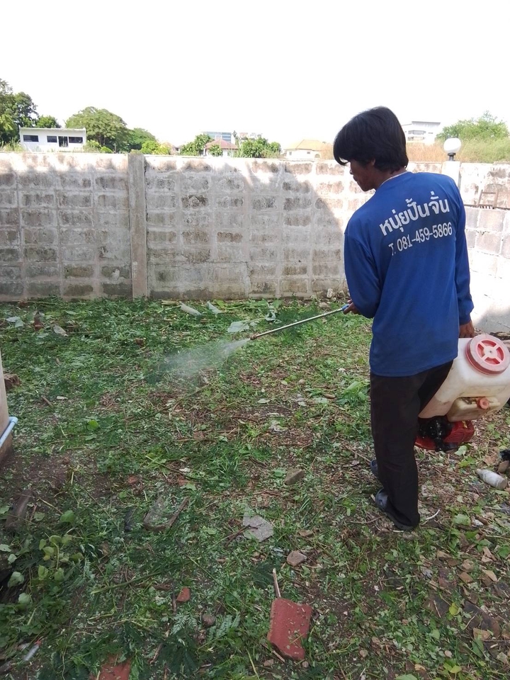 รับตัดหญ้าและตัดต้นไม้ - รับจ้างทำความสะอาดบ้านที่ถูกทิ้งร้าง - 15