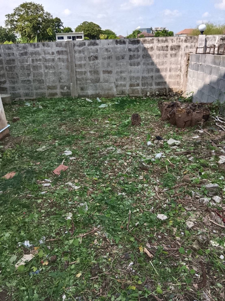 รับตัดหญ้าและตัดต้นไม้ - รับจ้างทำความสะอาดบ้านที่ถูกทิ้งร้าง - 12