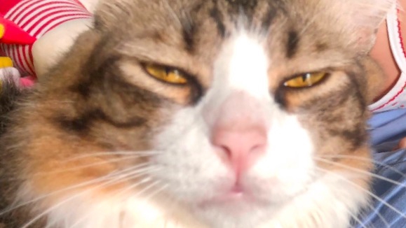 รับฟังทุกเรื่องราว