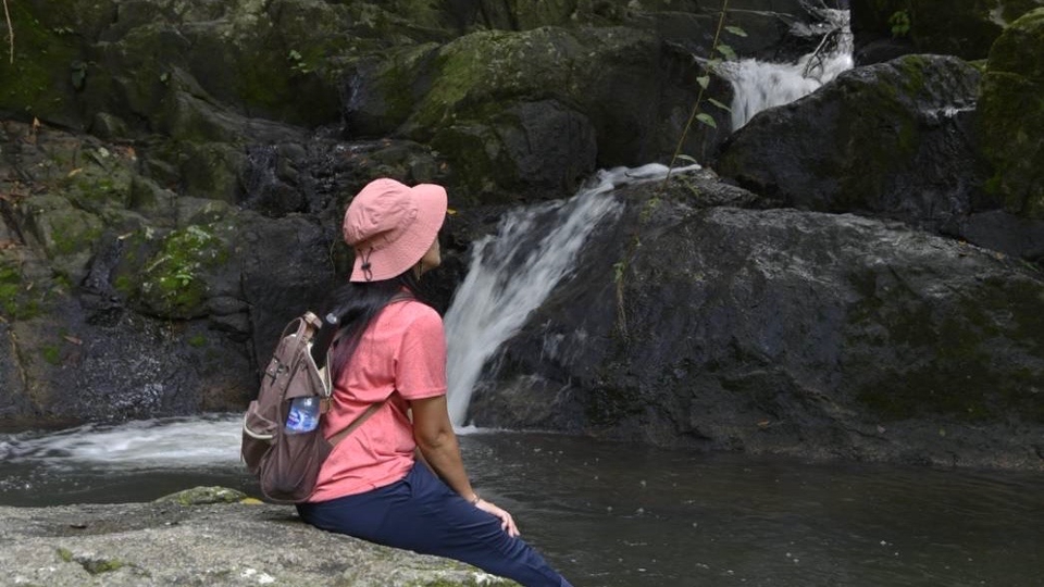 หาเพื่อนเดินเที่ยวป่า แบบใกล้ๆ ง่าย ๆ ไปเช้ากลับเย็น ได้รูป ได้เพื่อนคุย ไม่เหงา ไม่ต้องไปคนเดียว