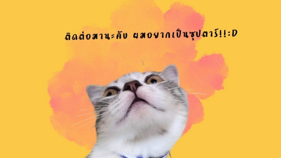 ออกแบบแบนเนอร์น่ารัก สดใส สำหรับโซเชียลมีเดีย