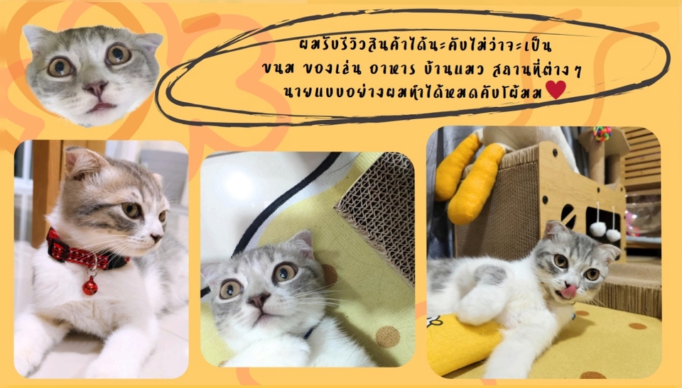 พรีเซนเตอร์พร้อมทำงานมากคับบ