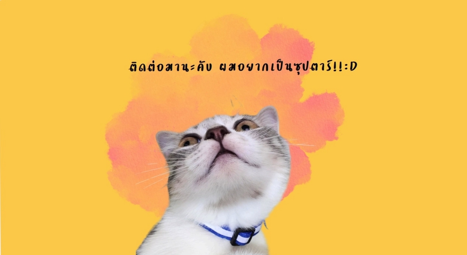 หวังเป็นอย่างยิ่งจะได้ร่วมงานกันนะคะ