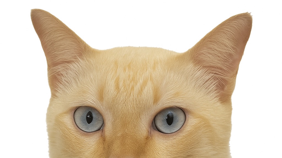 รับทำโฆษณาFacebook Ads  ยิงแอดFacebook โฆษณาโซเชียลมีเดีย