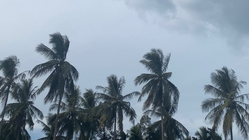 รับถ่ายวีดีโอพรีเวดดิ้ง งานแต่งงาน ตัดต่อวีดีโอสวย