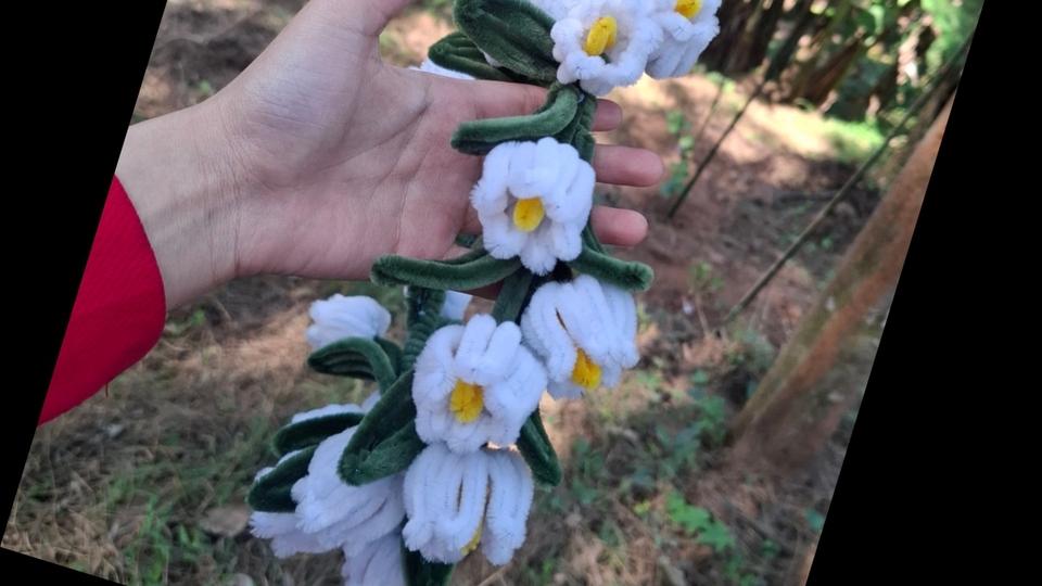 มงกุฎปัจฉิมกำมะหยี่