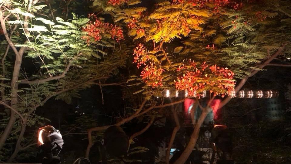 Landscape lighting size