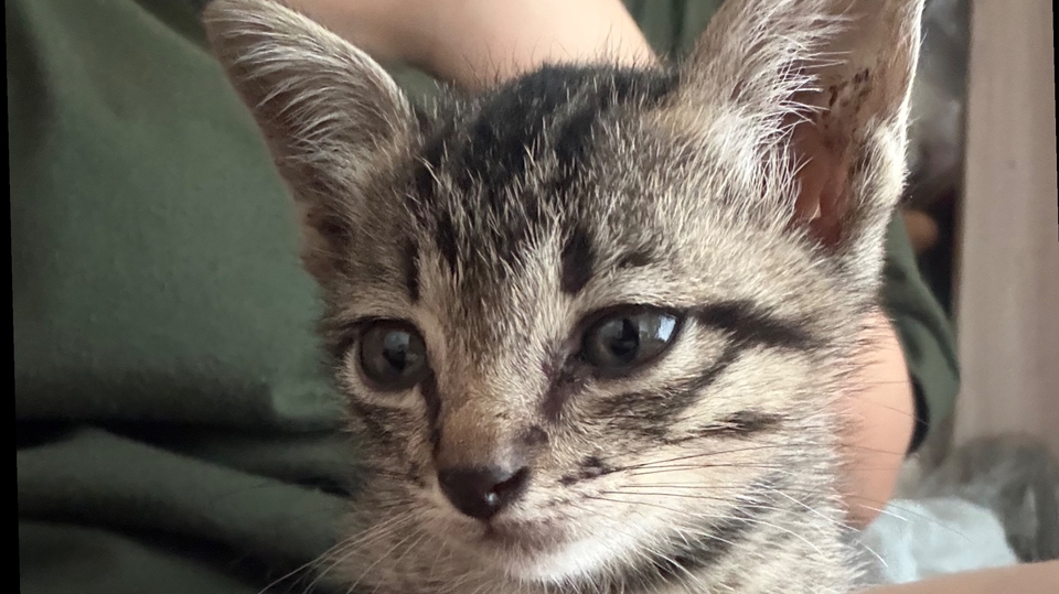 รับฟัง ปรึกษาปัญหา เป็นผู้ฟังที่ดี