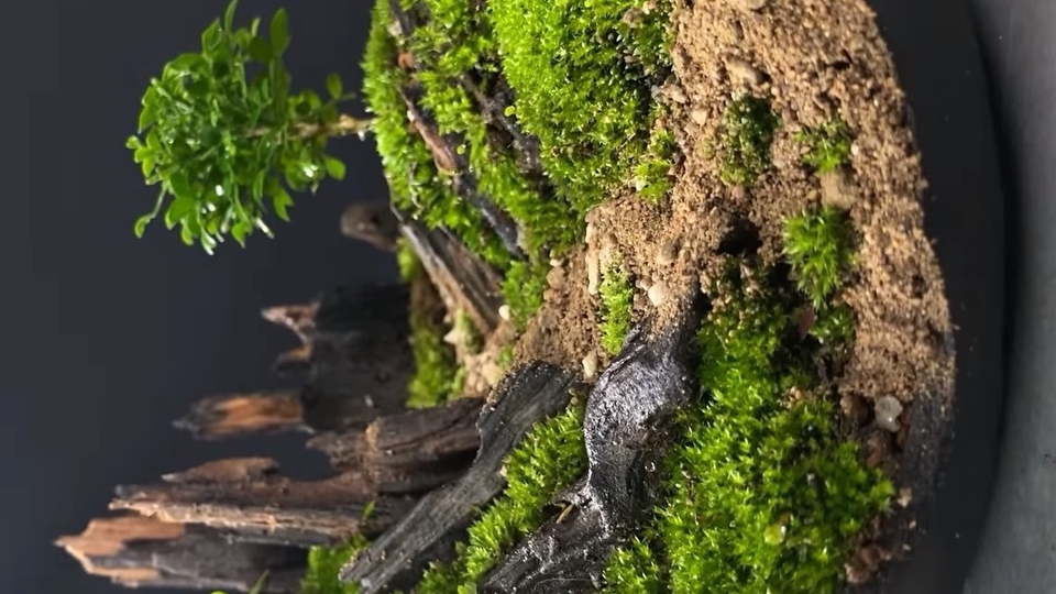 จัดสวนธรรมชาติขนาดย่อมเยา