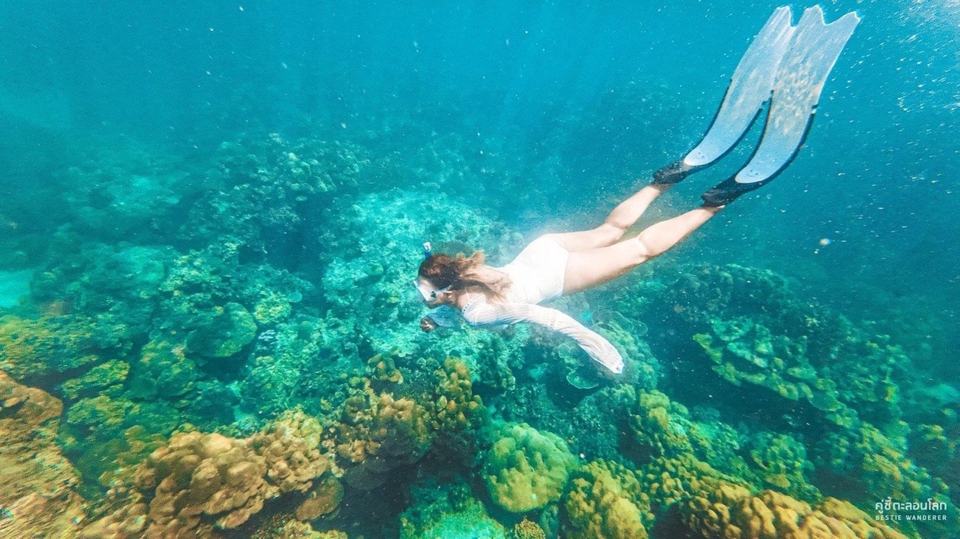 เช่ารถสนามบิน ภูเก็ต - ให้เช่ารถ พร้อมคนขับ ภูเก็ต,พังงา - 7