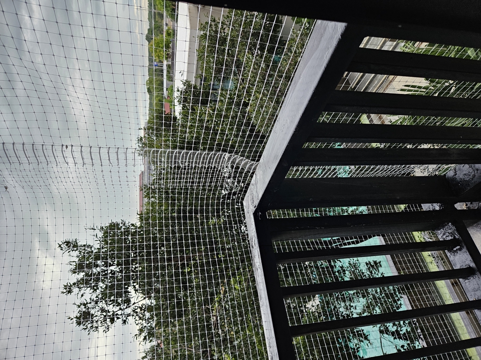 ติดตาข่ายกันนก - รับงานติดตาข่ายกันนก บ้าน และคอนโด - 3