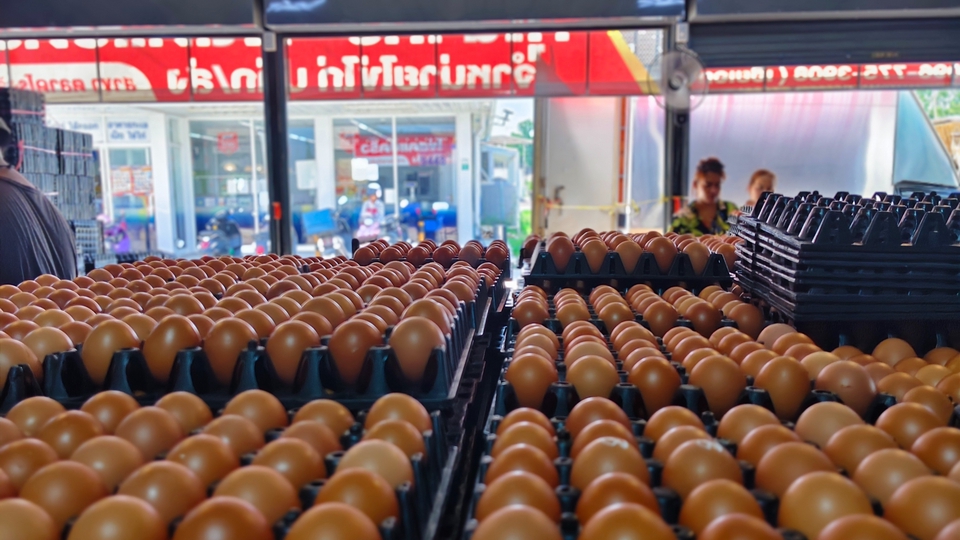 ร้านคุณากรไข่สดแปดริ้ว จำหน่ายไข่ไก่คุณภาพสดจากฟาร์มทุกวัน ราคาหน้าฟาร์ม มีบริการส่งถึงที่