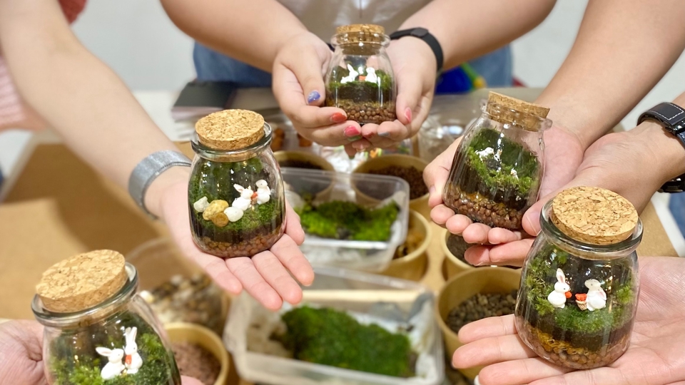 •บริการจัด terrarium workshop ทั้งแบบกลุ่มและprivate 
•รับออกแบบจัดทำTerrariumและPaludarium ทุกscale