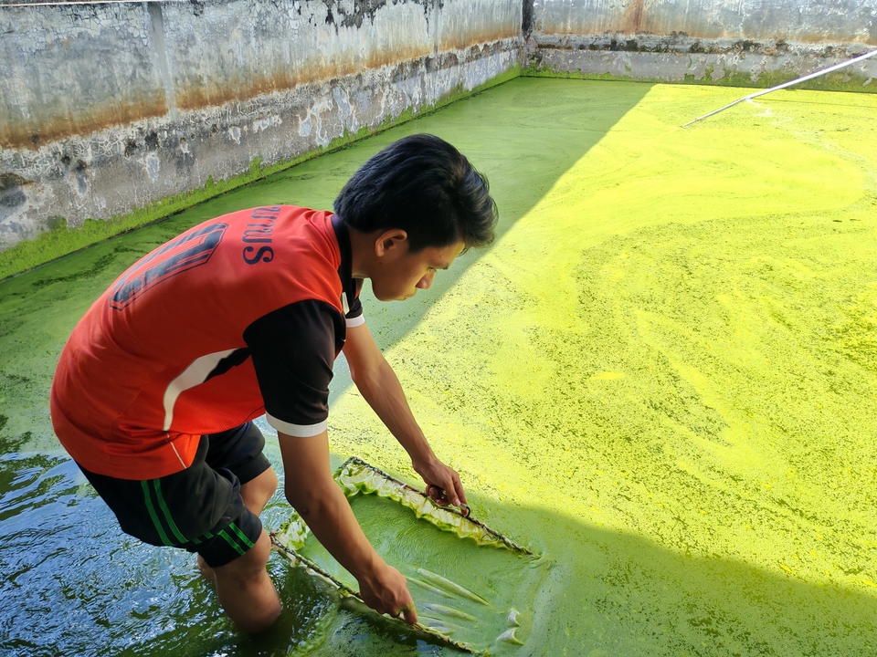 อื่นๆ - ให้คำปรึกษาด้านการเลี้ยงสัตว์น้ำจืด - 14