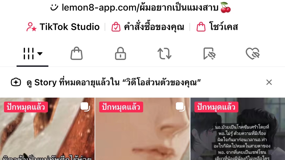 โปรโมทติ๊กต๊อก เพิ่มผู้ติดตาม tiktok ปั้มไลค์