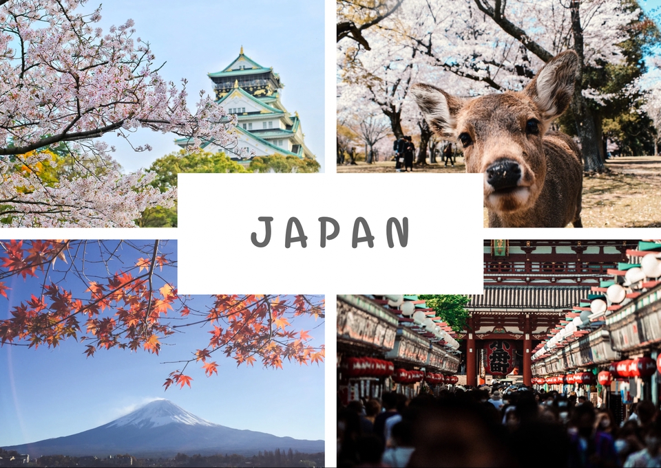 วางแผนเที่ยวญี่ปุ่น รับจัดทริปญี่ปุ่น ชมปราสาทโอซาก้า ภูเขาไฟฟูจิ ใบไม้เปลี่ยนสี